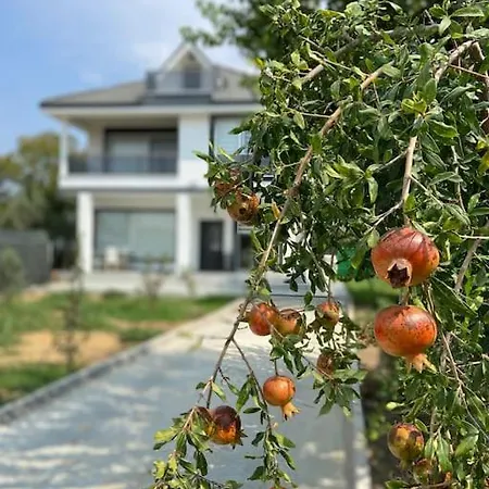 Ece Kemalpasa (Izmir)